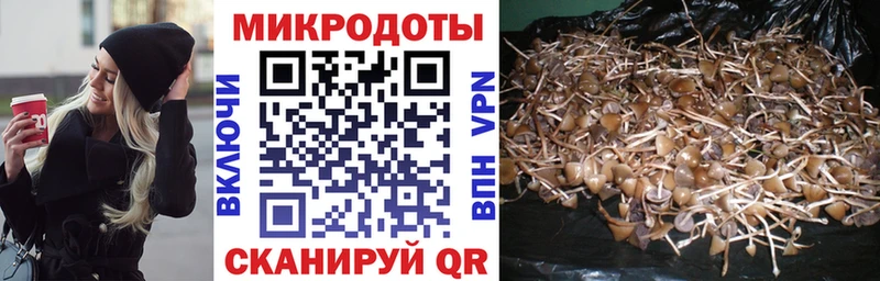 Псилоцибиновые грибы мухоморы  Южа 
